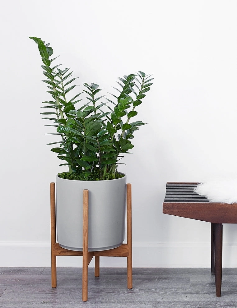 Ceramic Planter Pot   Teak Stand by LBE Design