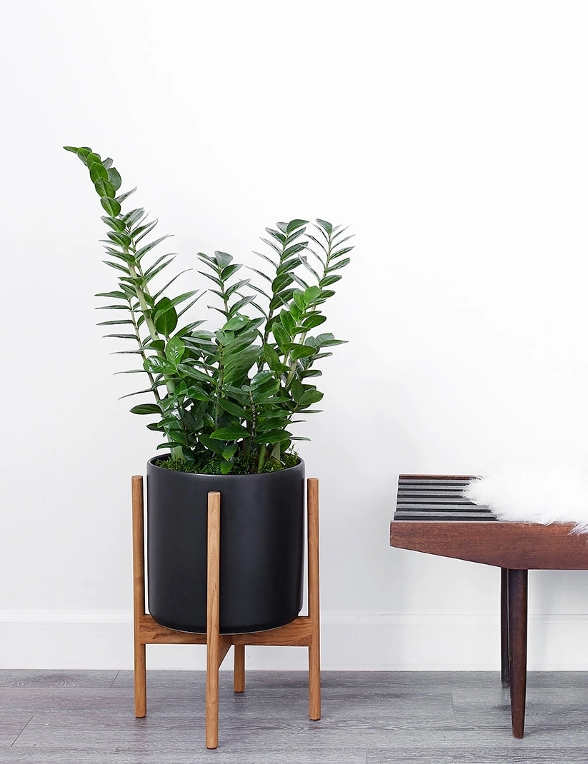 Ceramic Planter Pot   Teak Stand by LBE Design