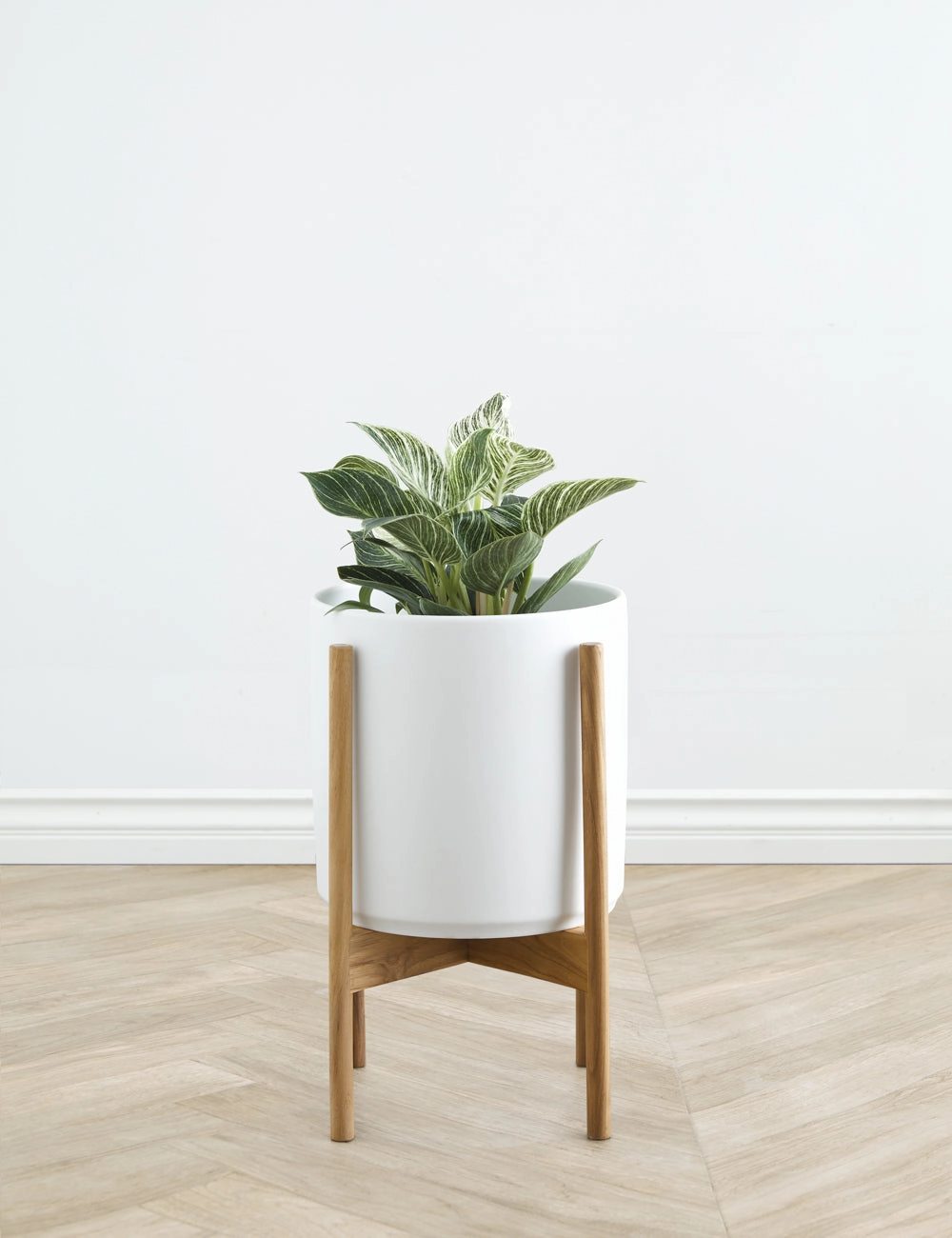 Ceramic Planter Pot   Teak Stand by LBE Design