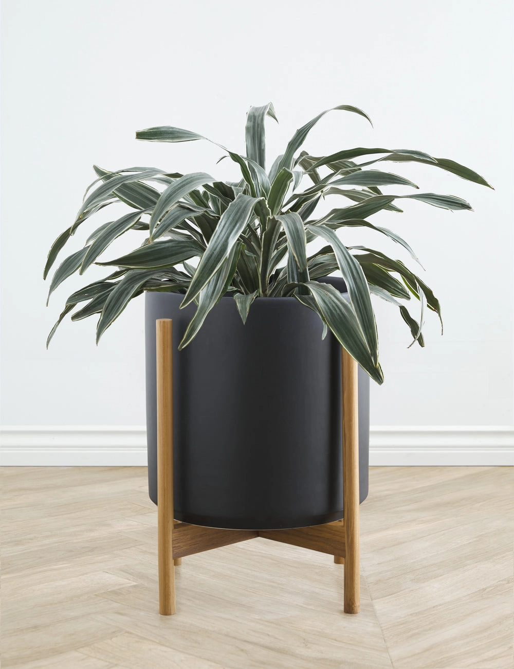 Ceramic Planter Pot   Teak Stand by LBE Design