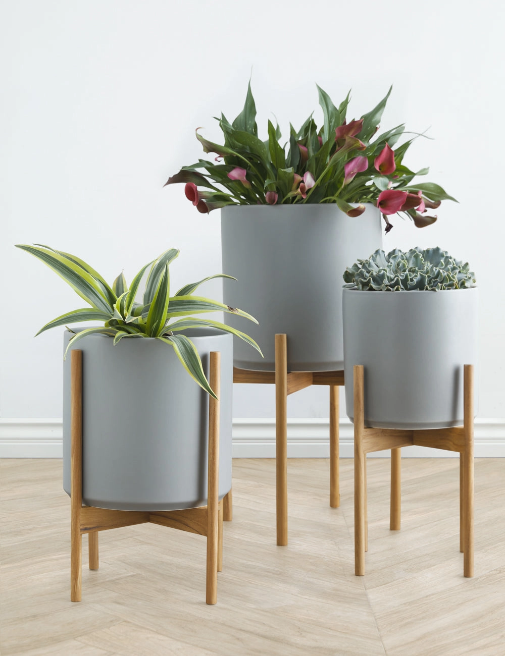 Ceramic Planter Pot   Teak Stand by LBE Design