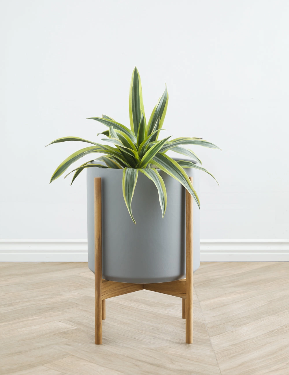 Ceramic Planter Pot   Teak Stand by LBE Design