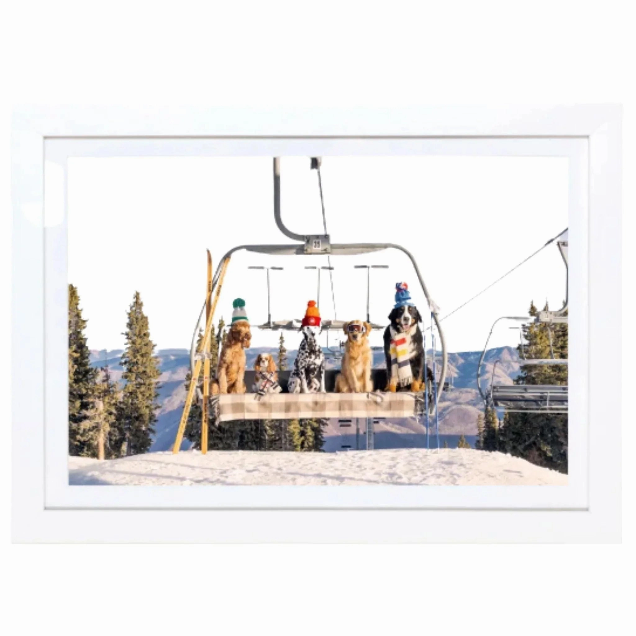 Chairlift Pups Aspen Horizontal Mini Framed Print by Gray Malin