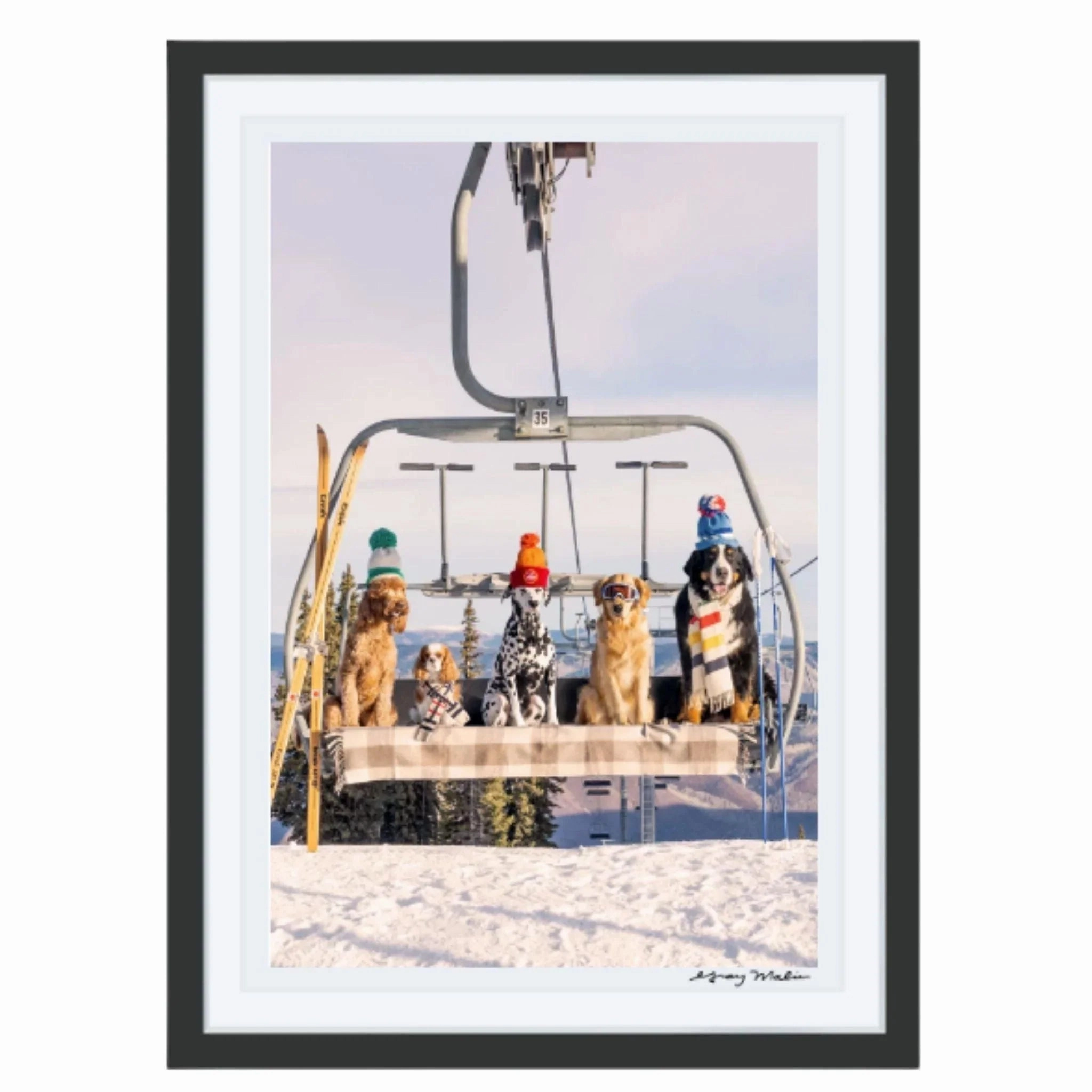 Chairlift Pups Vertical Print by Gray Malin