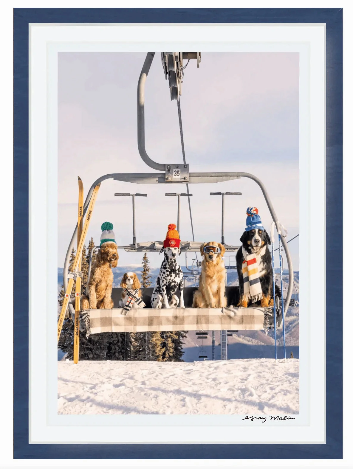 Chairlift Pups Vertical Print by Gray Malin