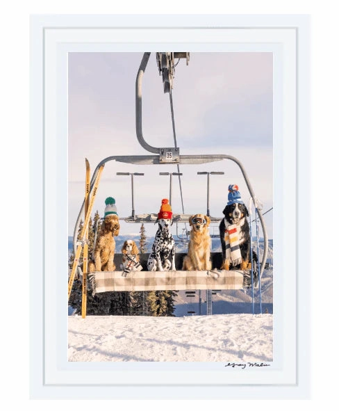 Chairlift Pups Vertical Print by Gray Malin