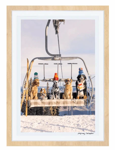 Chairlift Pups Vertical Print by Gray Malin