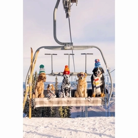 Chairlift Pups Vertical Print by Gray Malin 