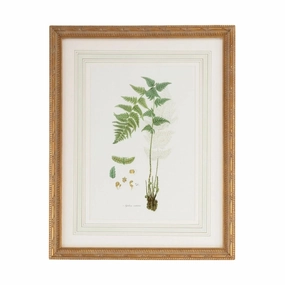 Citrus Ferns I Gold Framed Wall Art 