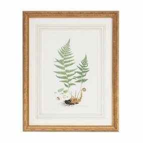 Citrus Ferns II Gold Framed Wall Art 