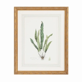 Citrus Ferns IV Gold Framed Wall Art 
