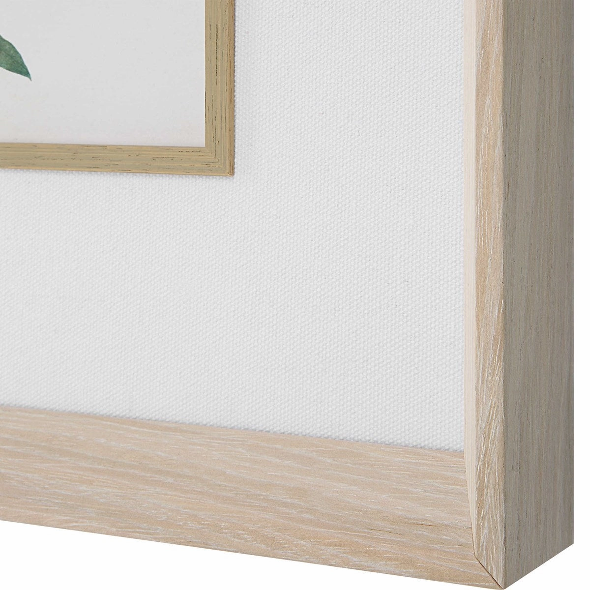 Classic Botanicals Framed Prints, Set of 6