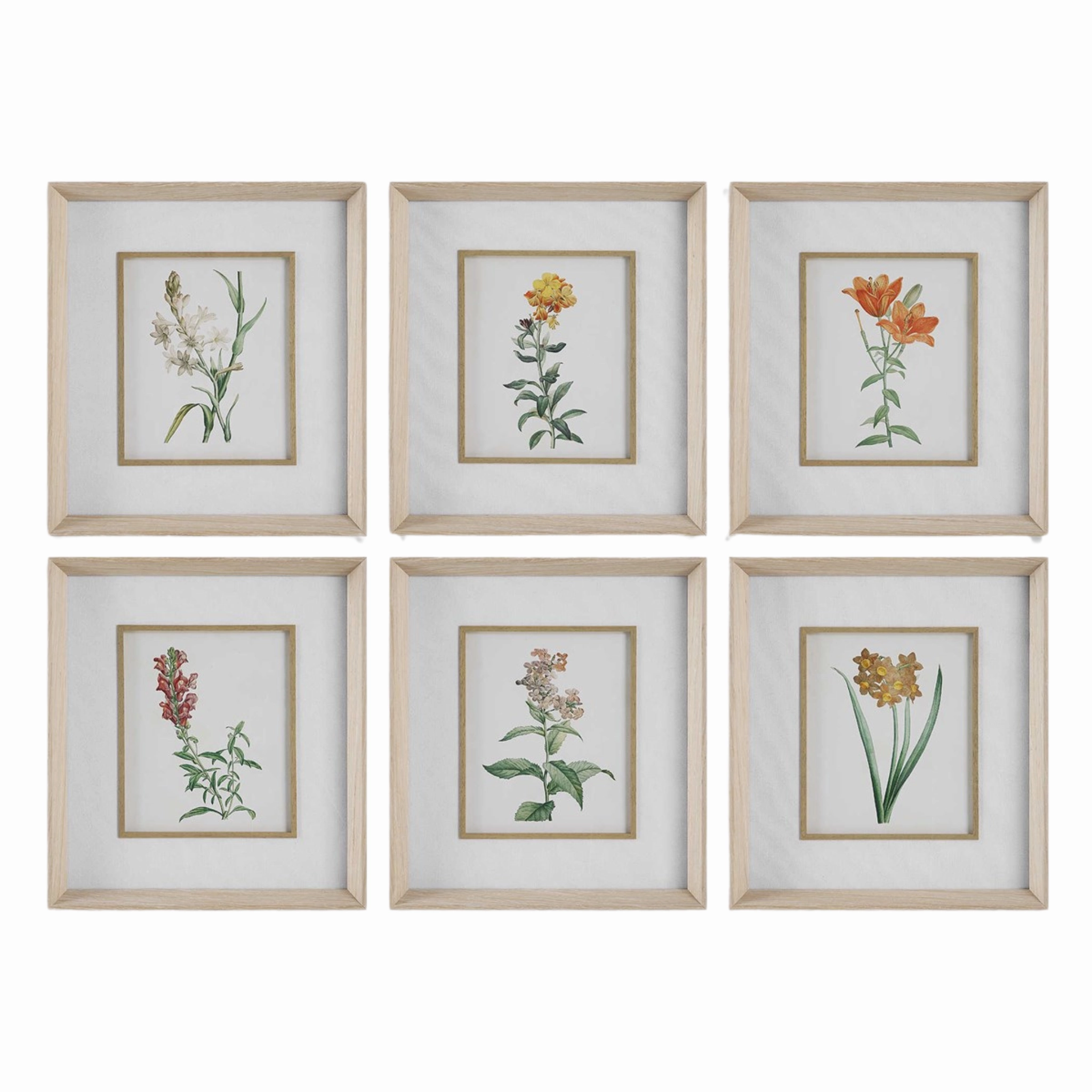 Classic Botanicals Framed Prints, Set of 6 