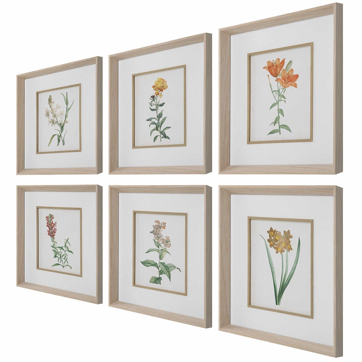 Classic Botanicals Framed Prints, Set of 6