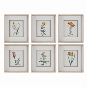 Classic Botanicals Framed Prints, Set of 6 