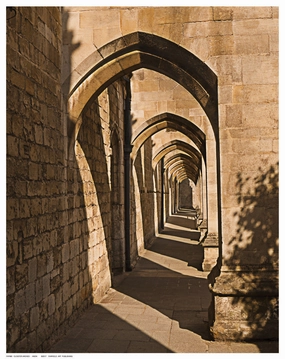 Cloister Arches 