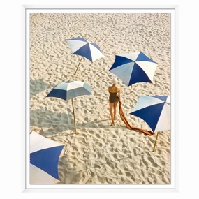 Coastal Daze 2 Framed Wall Art 