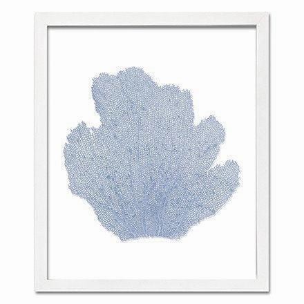Coastal Sea Fan Framed Nautical Beach Wall Art - 15 x 18 - Available in 18 Colors