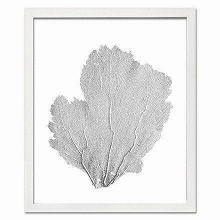 Coastal Sea Fan Framed Nautical Beach Wall Art - 15 x 18 - Available in 18 Colors