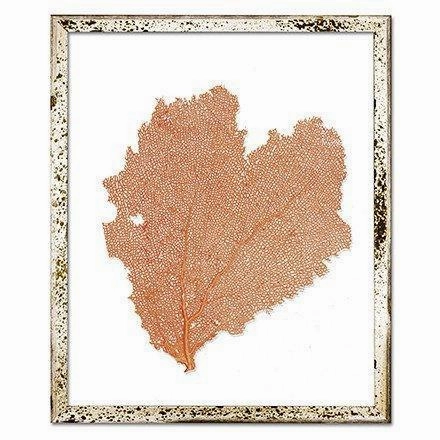 Coastal Sea Fan Framed Nautical Beach Wall Art - 15 x 18 - Available in 18 Colors