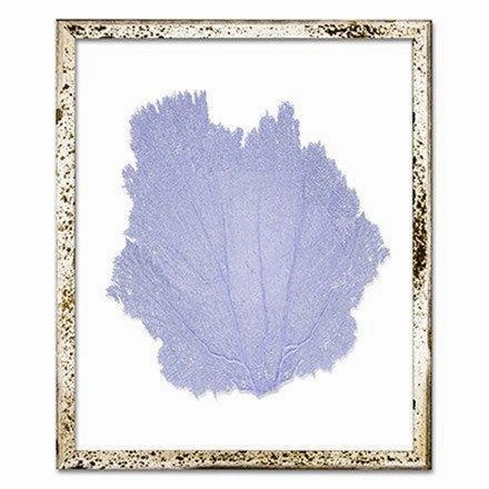 Coastal Sea Fan Framed Nautical Beach Wall Art - 15 x 18 - Available in 18 Colors