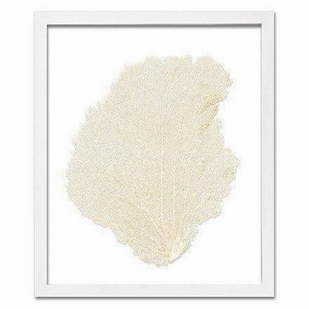 Coastal Sea Fan Framed Nautical Beach Wall Art - 15 x 18 - Available in 18 Colors