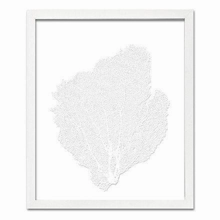 Coastal Sea Fan Framed Nautical Beach Wall Art - 15 x 18 - Available in 18 Colors
