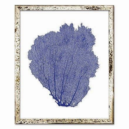 Coastal Sea Fan Framed Nautical Beach Wall Art - 15 x 18 - Available in 18 Colors