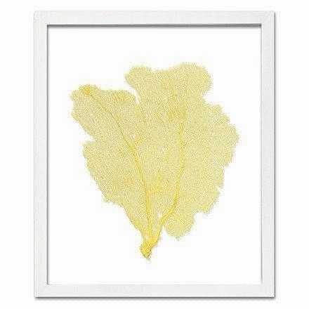 Coastal Sea Fan Framed Nautical Beach Wall Art - 15 x 18 - Available in 18 Colors