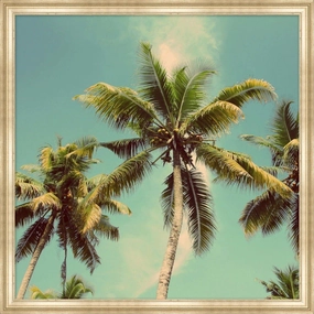 Coconut Palms Framed Wall Art 