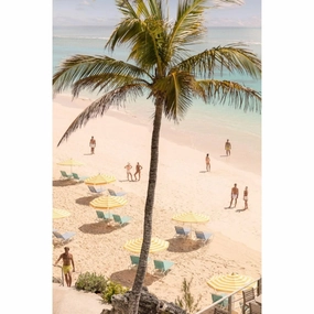 Coral Beach Club Vertical Print by Gray Malin 