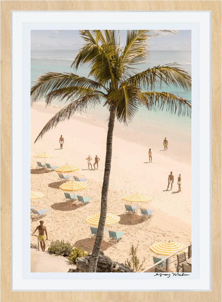 Coral Beach Club Vertical Print by Gray Malin