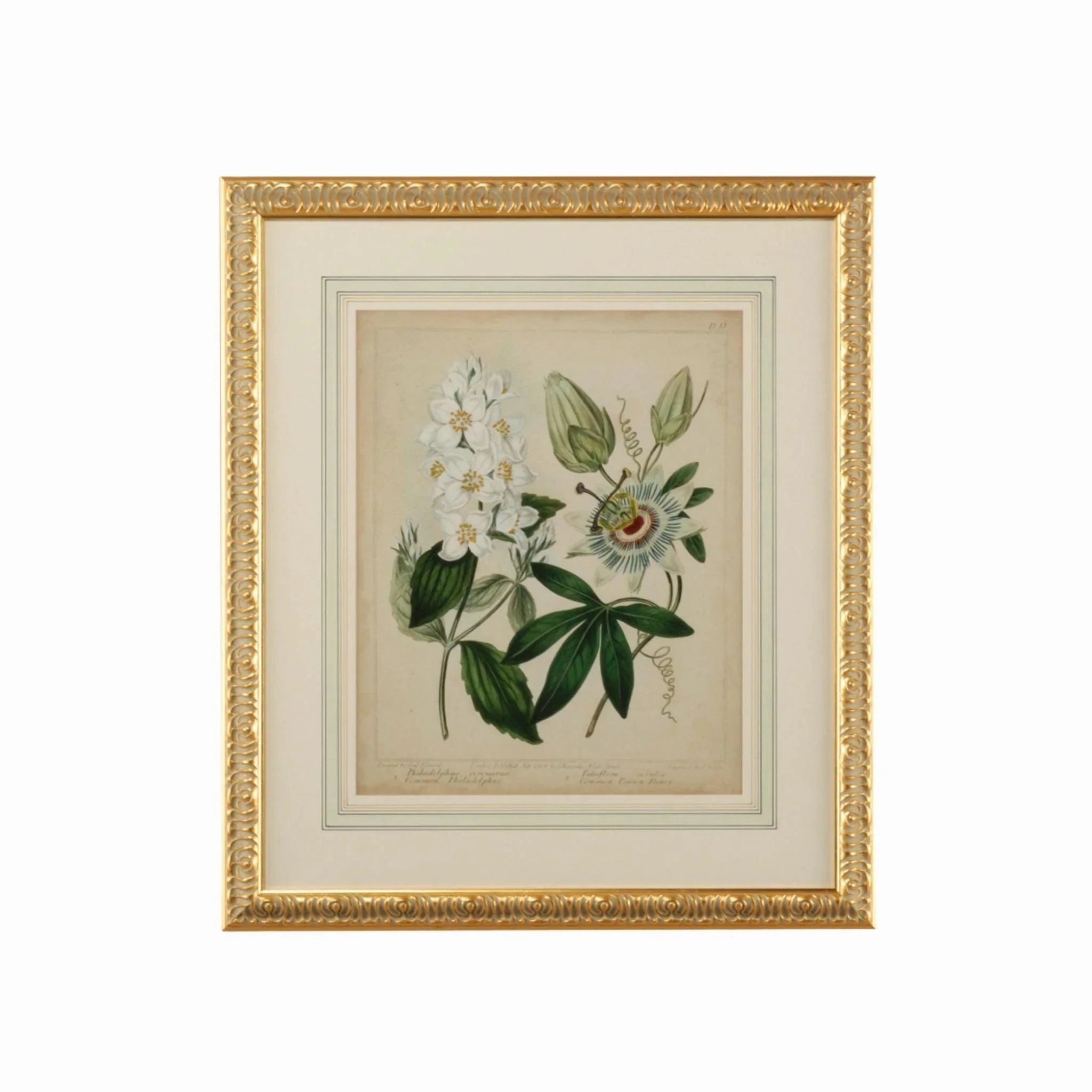 Cottage Botanical Florals II Framed Wall Art 