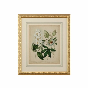 Cottage Botanical Florals II Framed Wall Art 