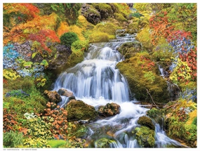 Country Stream In Bloom 