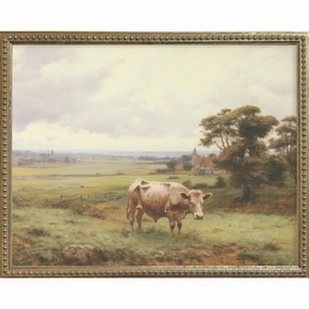 Cow In Pasture Gallery Framed Art 