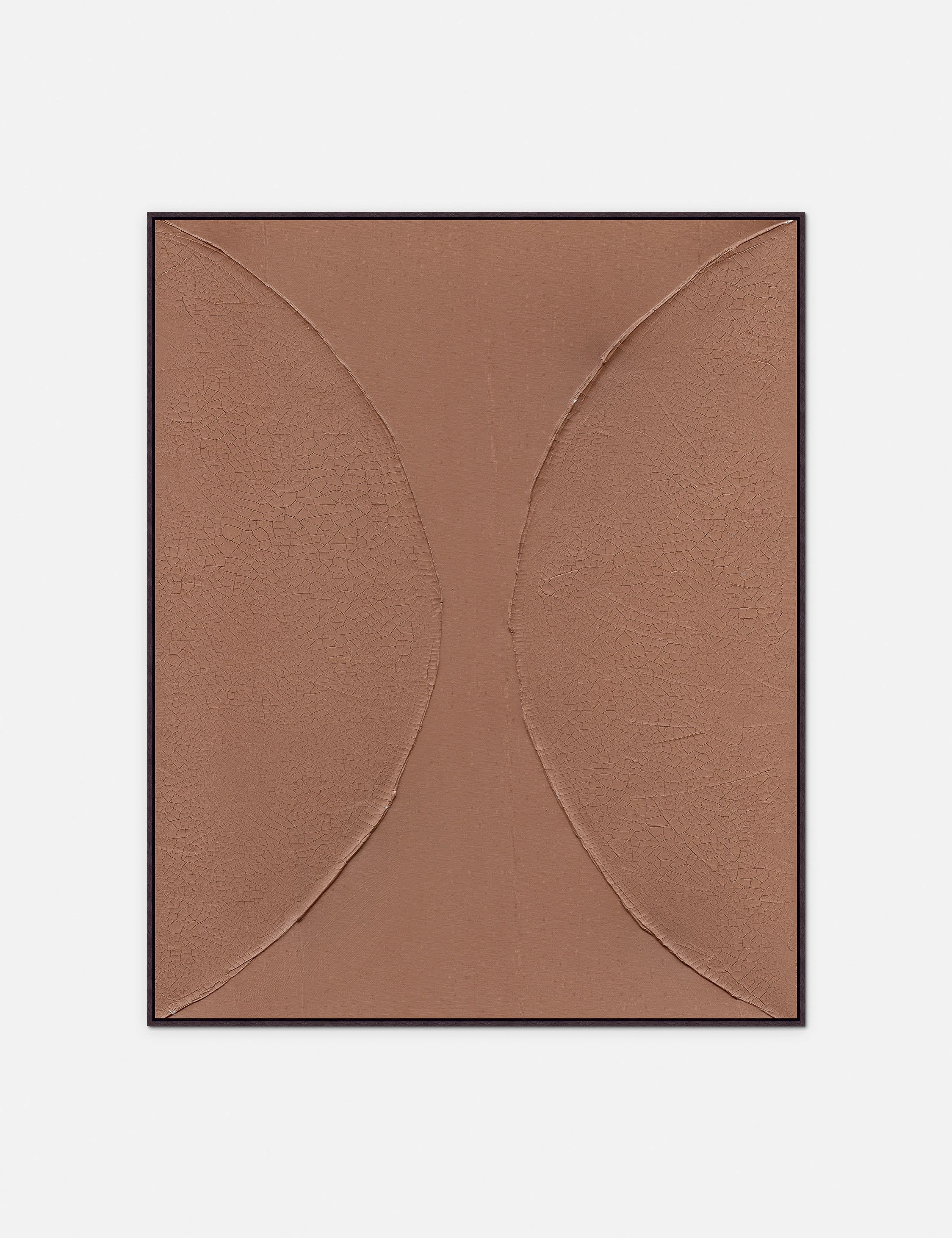 Cracked in Half Wall Art 