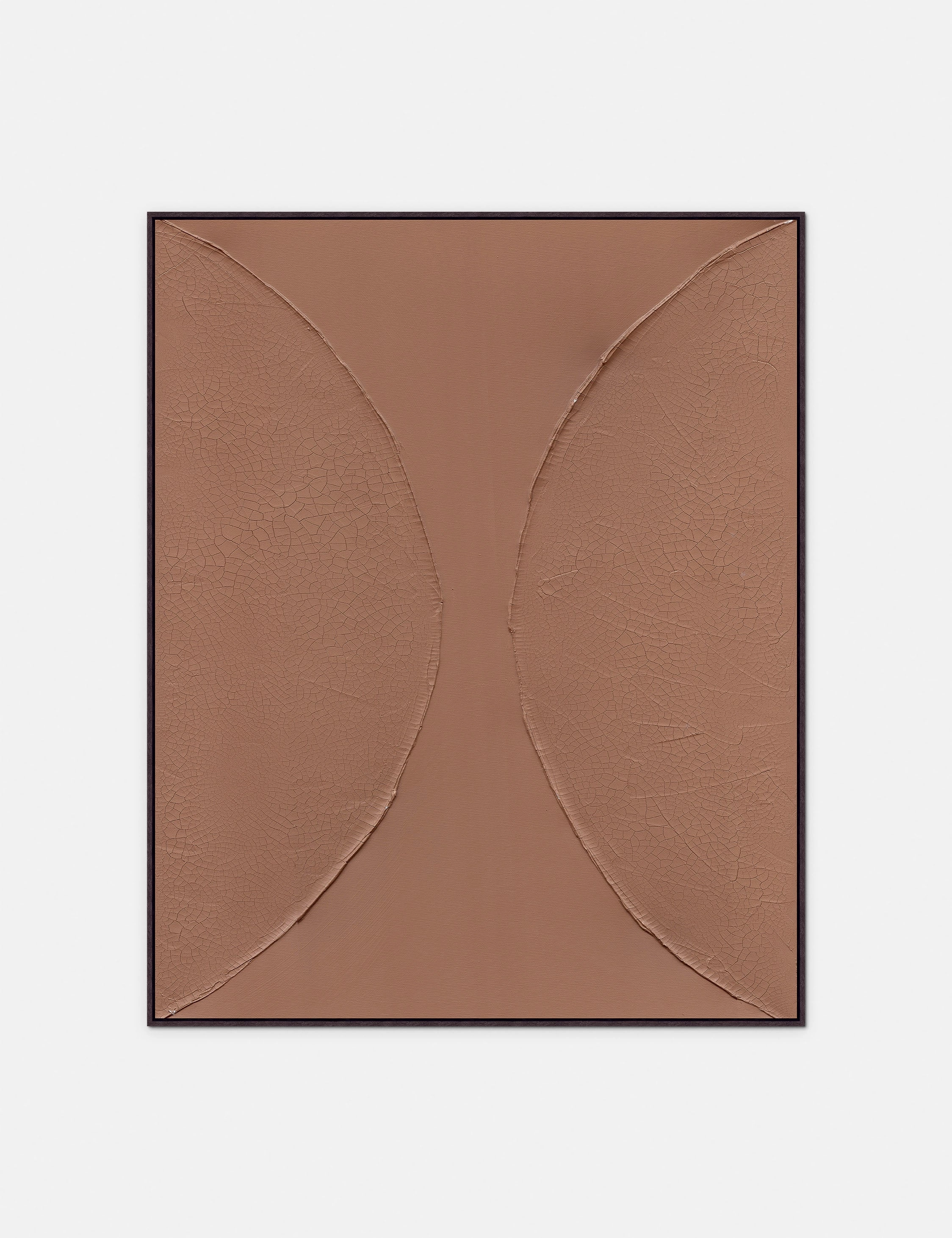 Cracked in Half Wall Art 