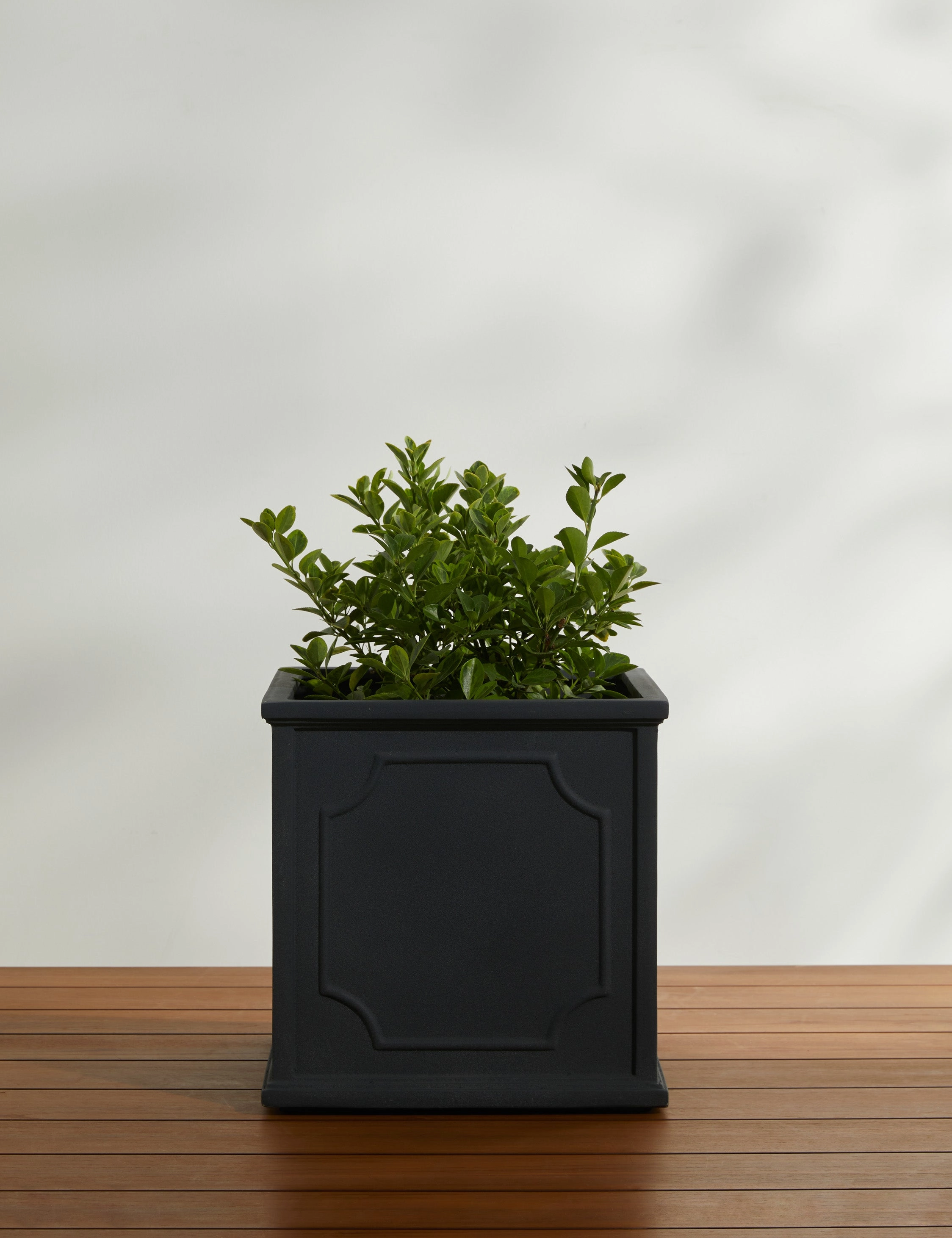 Cumberland Planter by Campania International