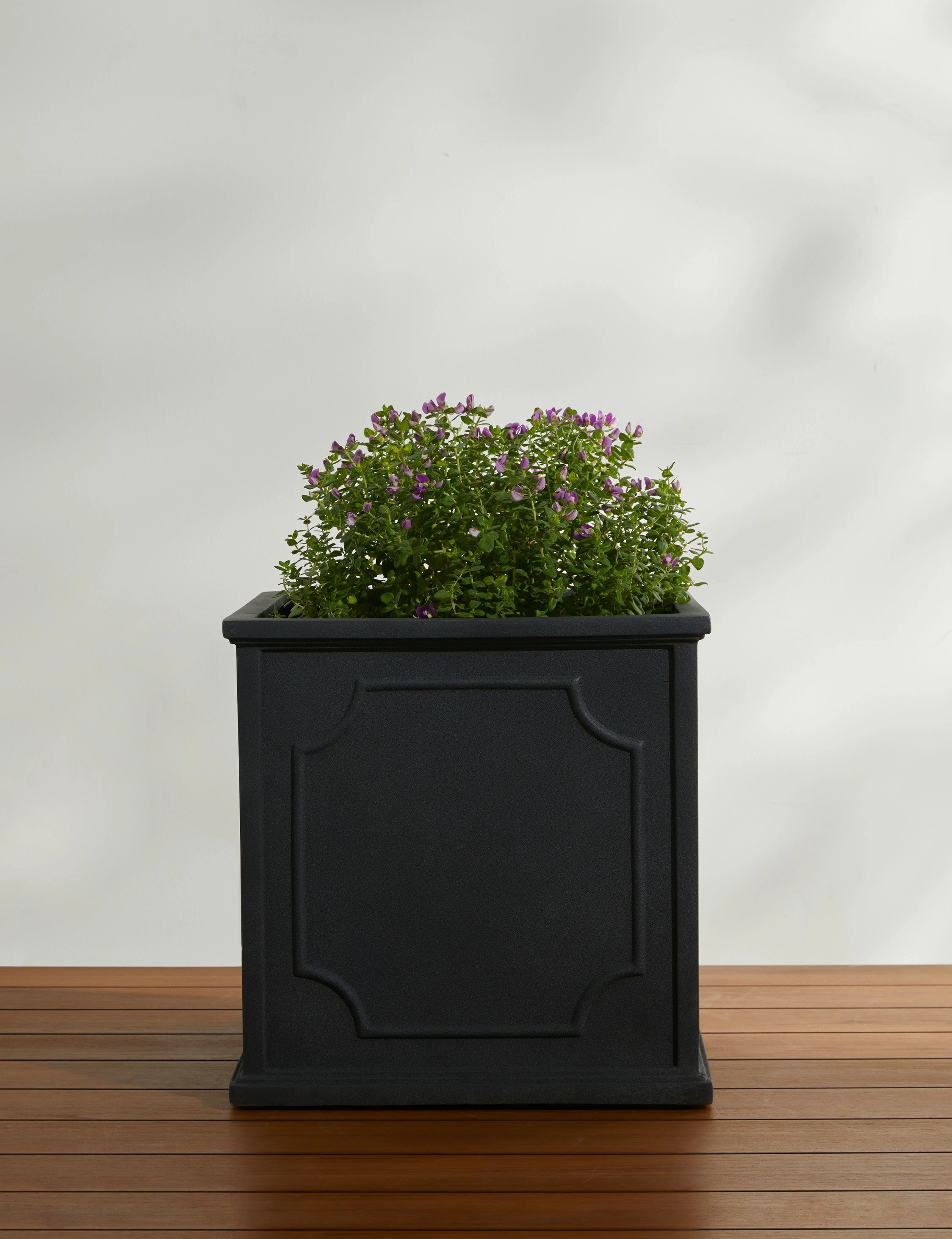 Cumberland Planter by Campania International