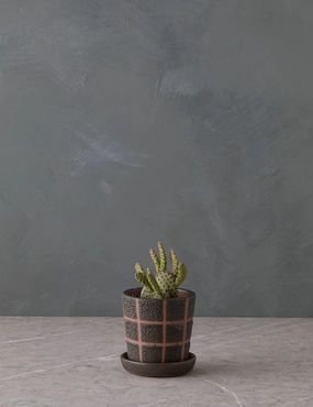 Curran Planter 