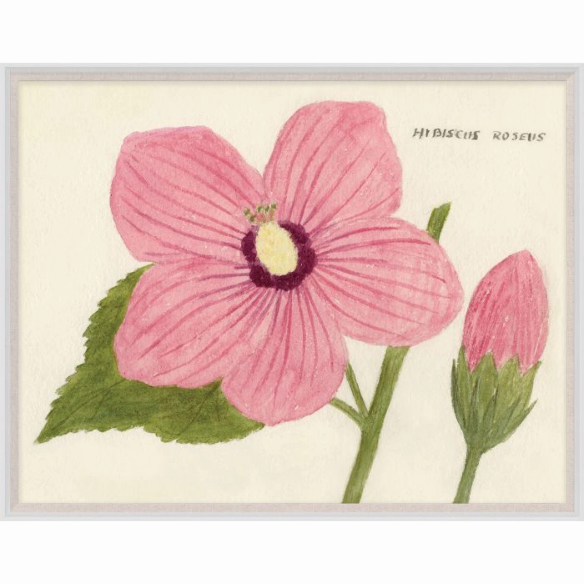 Cyril Hubbard Flowers, 2 Wall Art