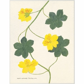 Cyril Hubbard Flowers, 9 Wall Art 