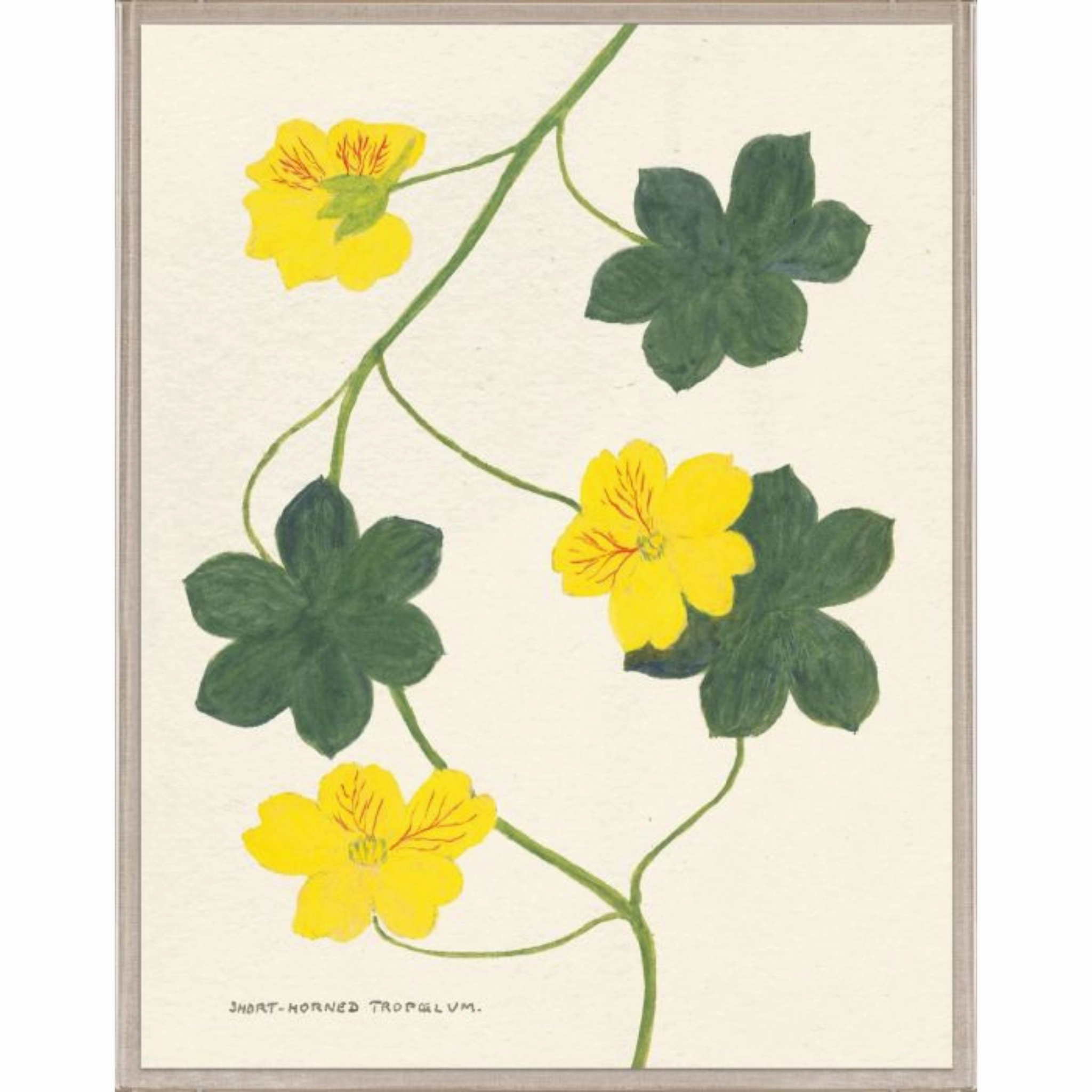 Cyril Hubbard Flowers, 9 Wall Art