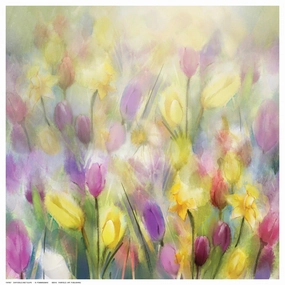 Daffodils and Tulips 