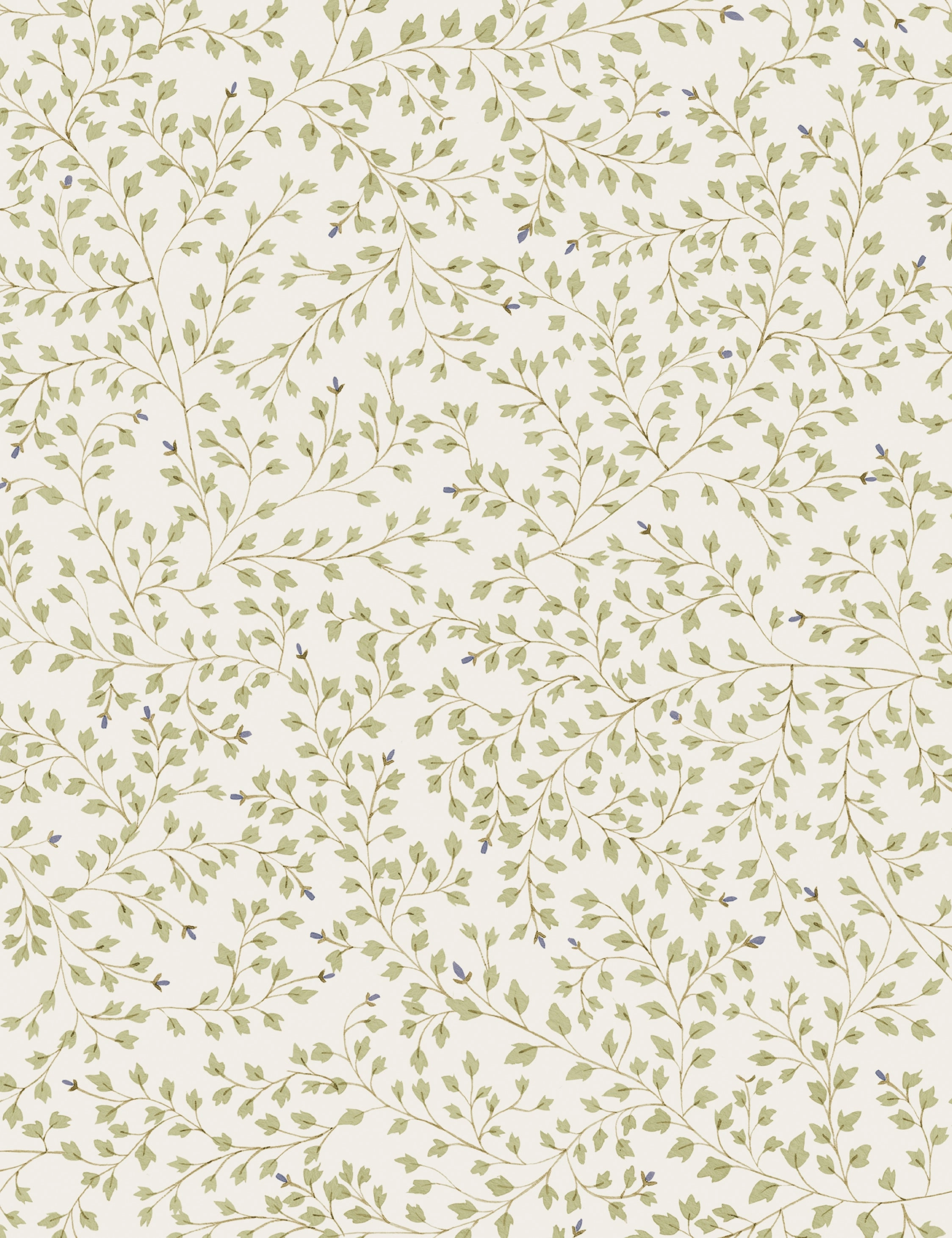 Dainty Leaves Linen Curtain Panel by Rylee   Cru