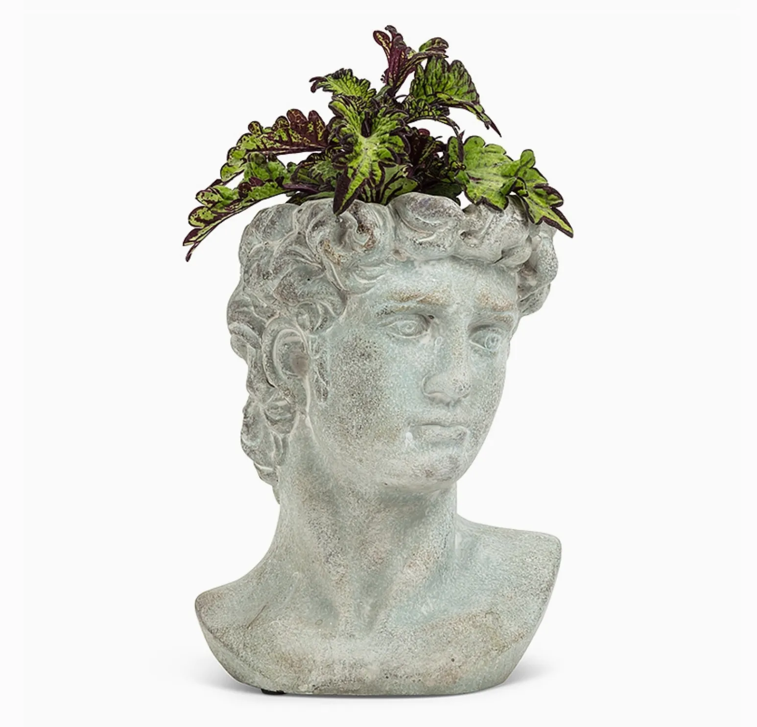 David Head Planter 