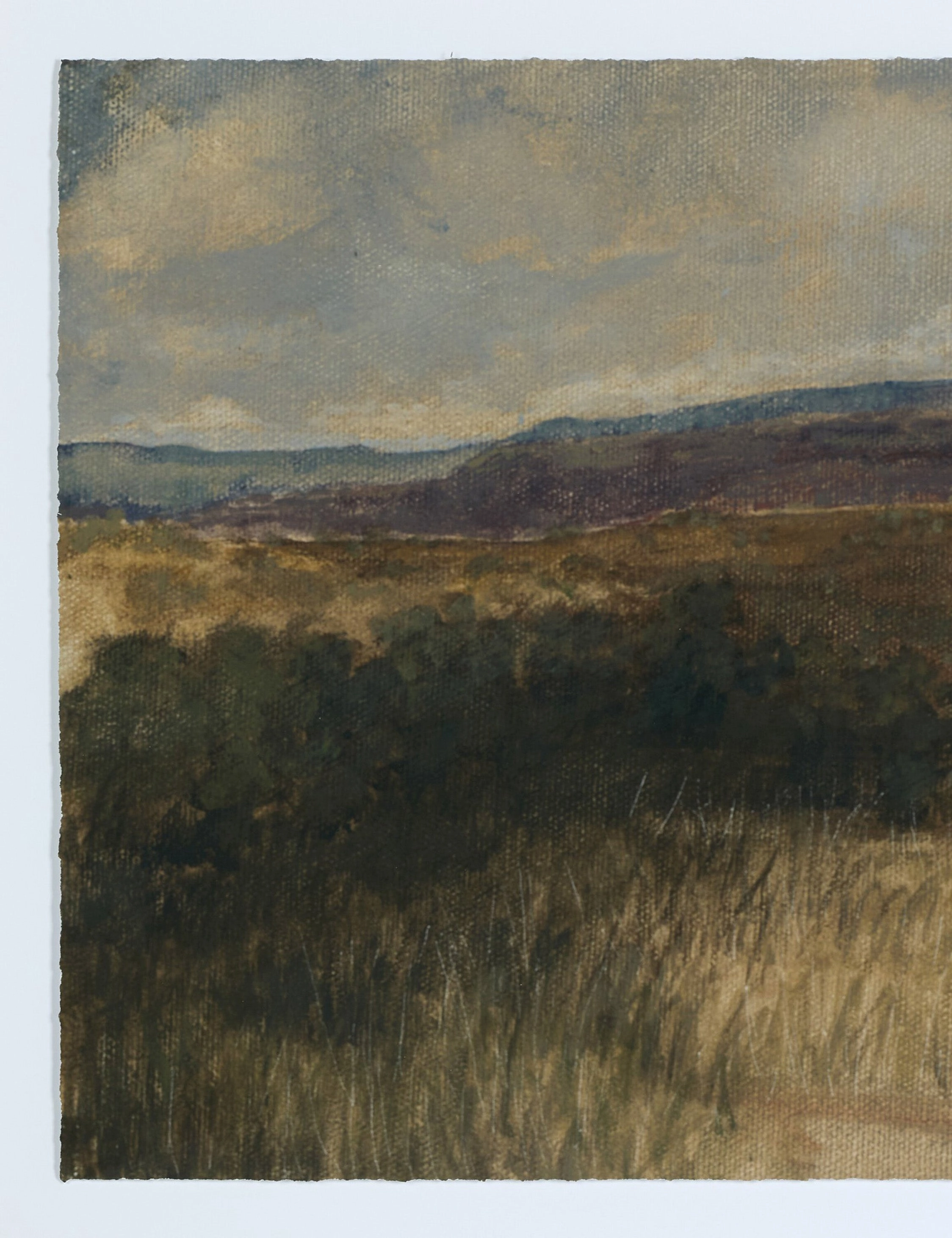Desert Hues I by Aileen Fitzgerald