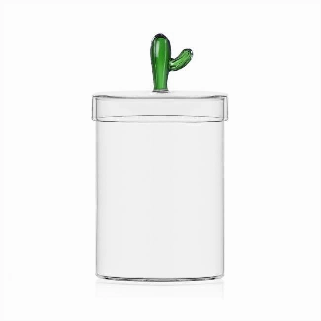 Desert Plants - Box Cactus Green 