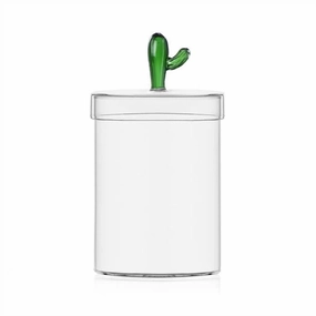 Desert Plants - Box Cactus Green 